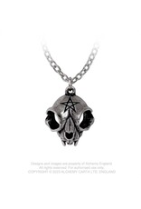 Alchemy Sieraden - Alchemy MY FOREVER FRIEND Katenschedel Ketting