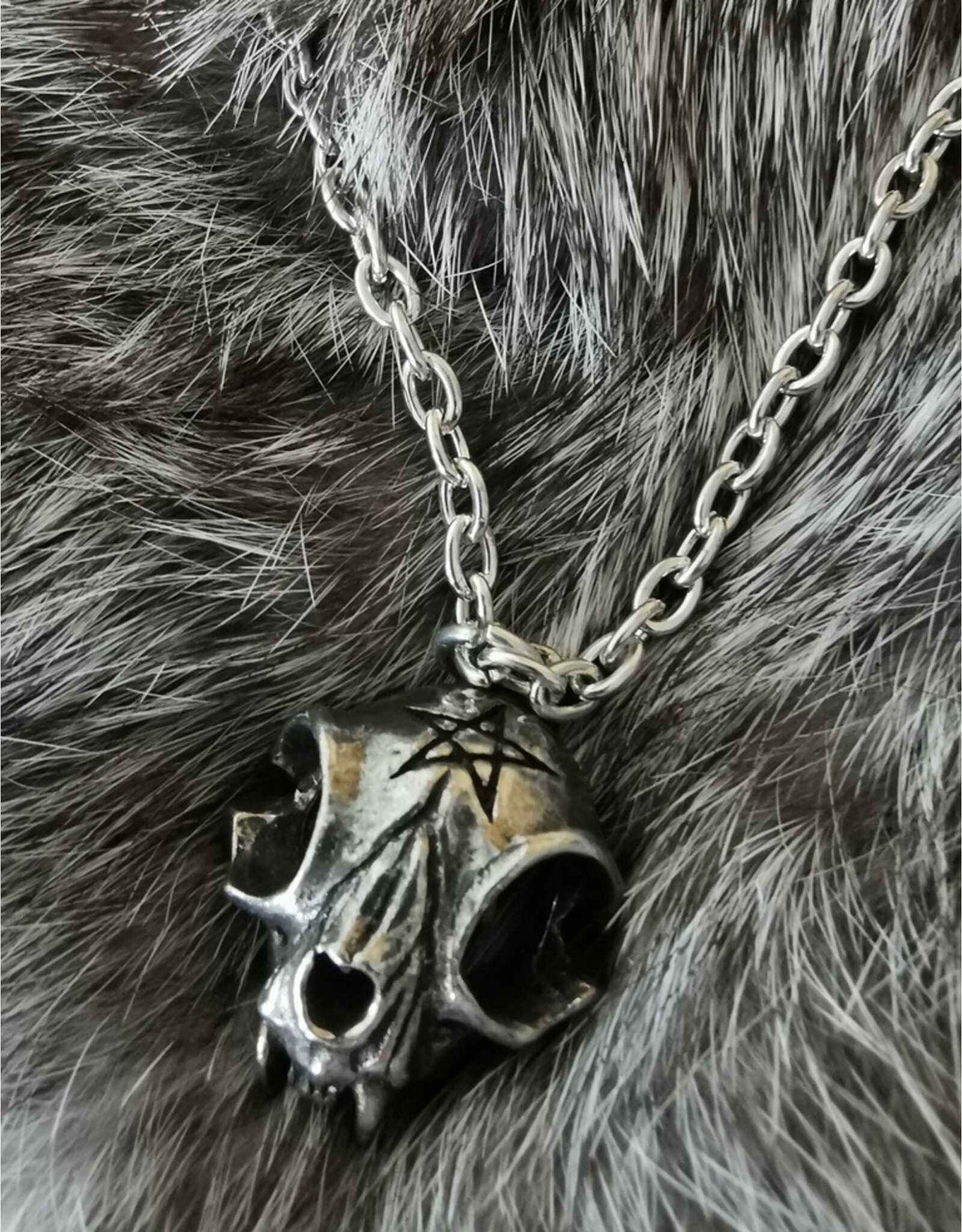 Alchemy Jewellery - Alchemy MY FOREVER FRIEND Cat Skull Necklace