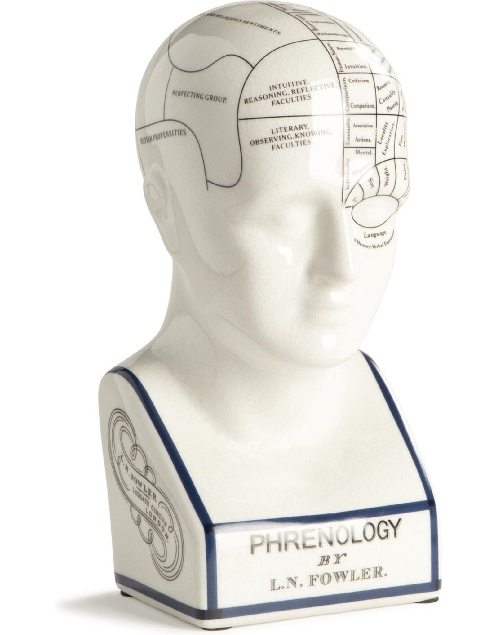 Trukado Miscellaneous - Phrenology  Ceramic Head XLarge (29cm)