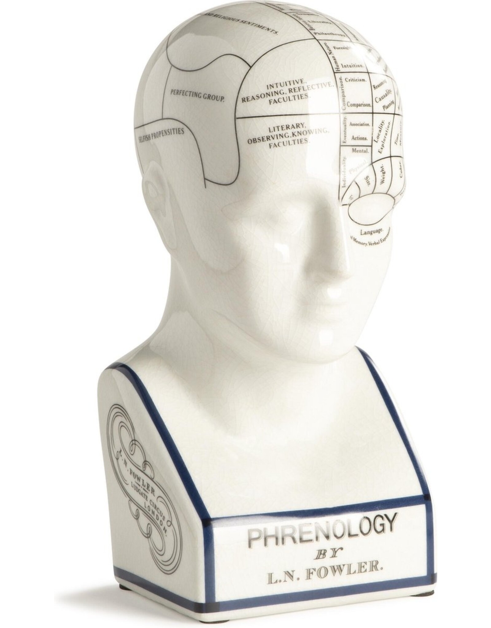 Trukado Miscellaneous -  Phrenology Keramiek XHoofd Large (29cm)