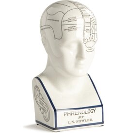 Trukado Phrenology  Ceramic Head XLarge (30.4cm)