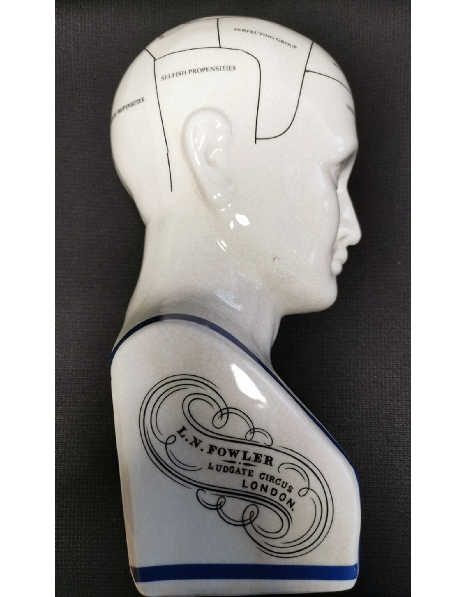 Trukado Miscellaneous - Phrenology  Ceramic Head XLarge (29cm)