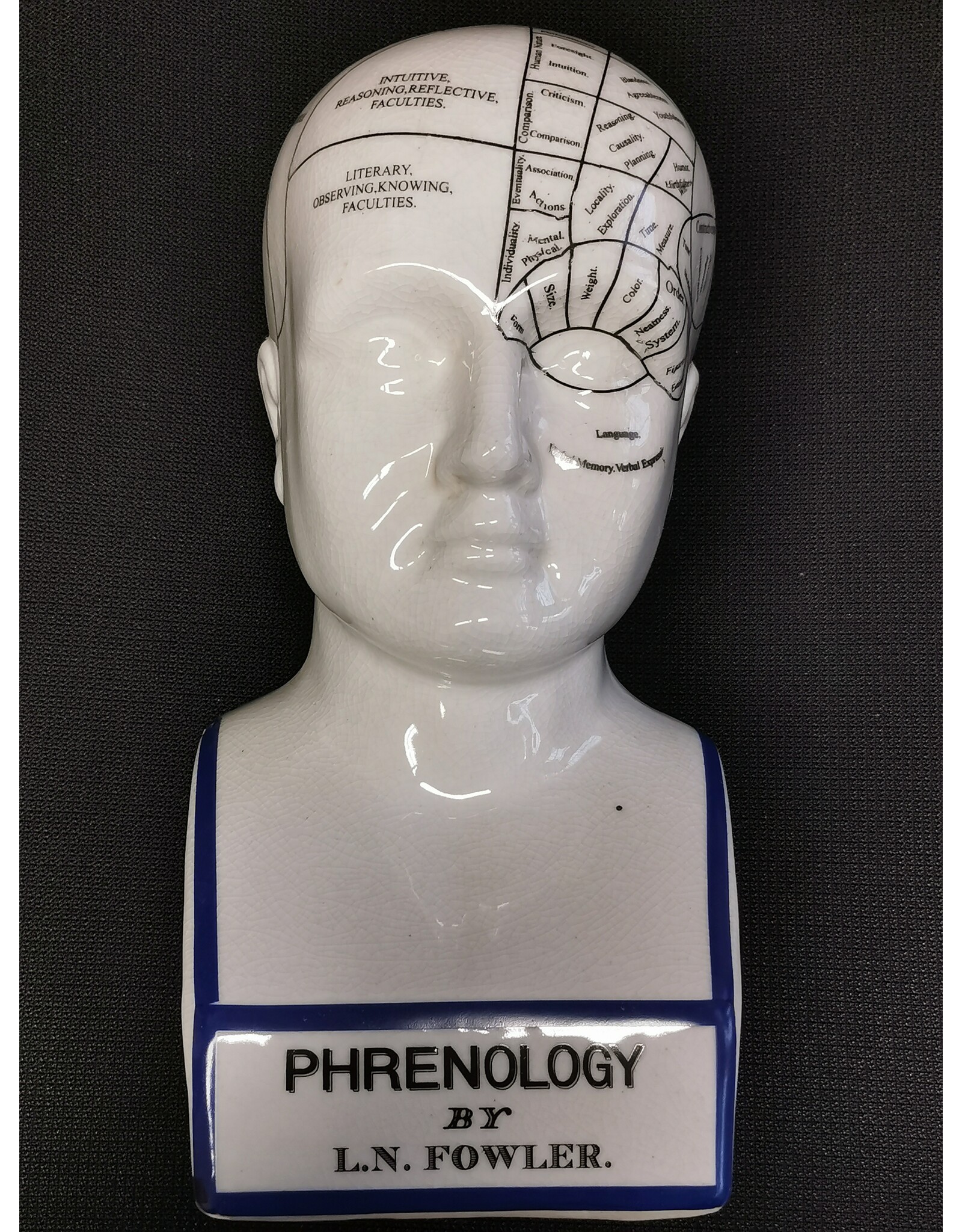 Trukado Miscellaneous - Phrenology  Ceramic Head XLarge (29cm)