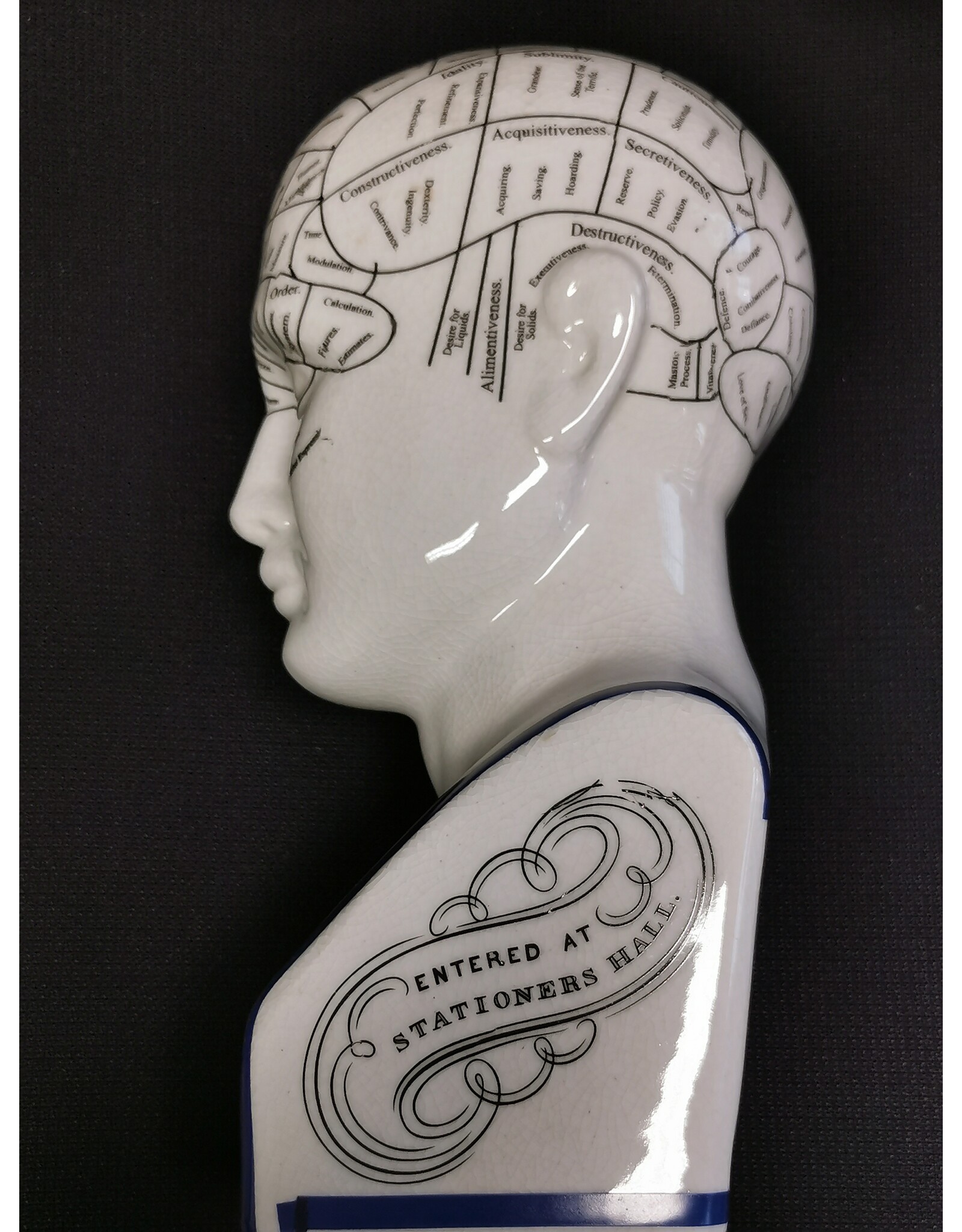 Trukado Miscellaneous - Phrenology  Ceramic Head XLarge (29cm)