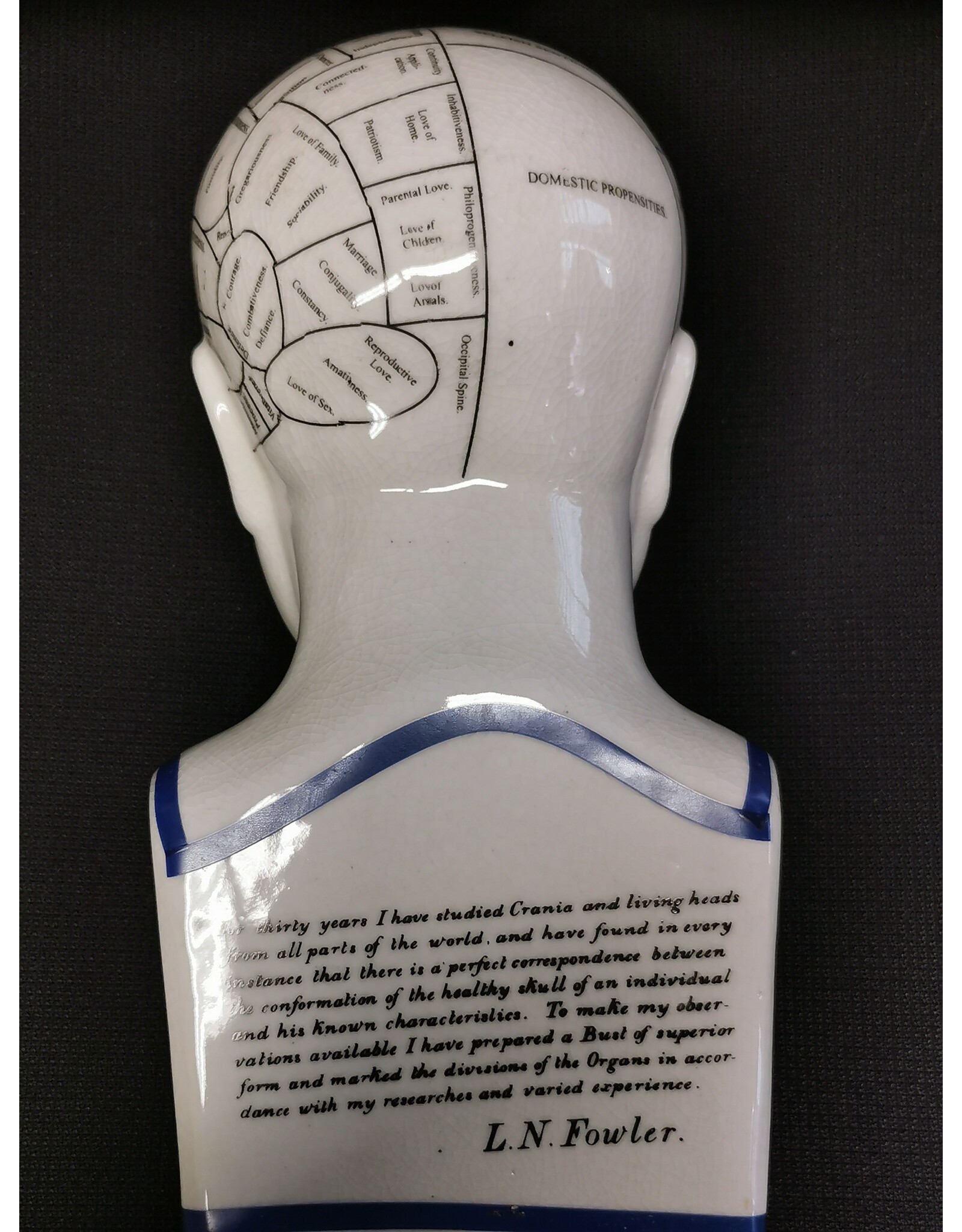 Trukado Miscellaneous -  Phrenology Keramiek XHoofd Large (29cm)