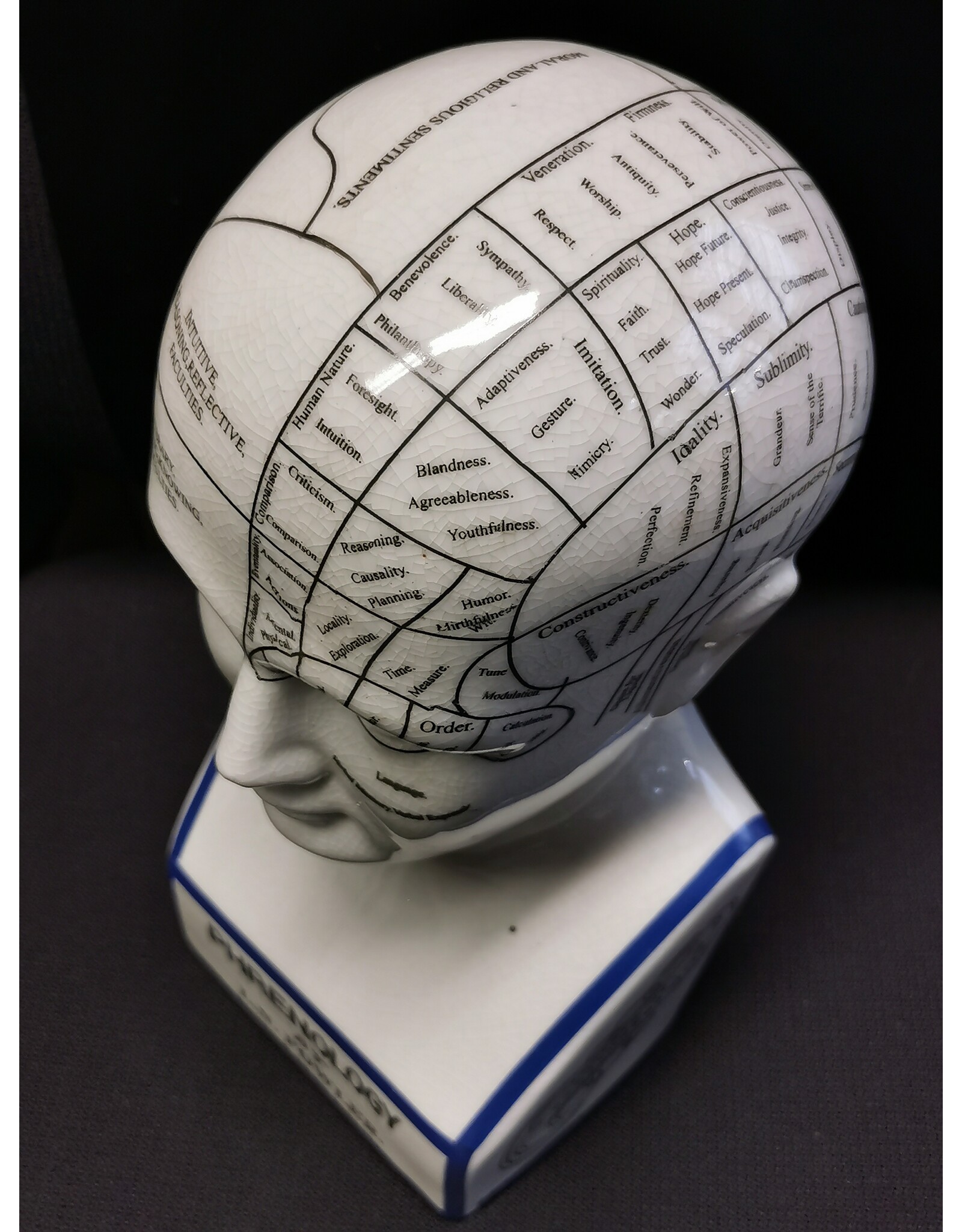 Trukado Miscellaneous -  Phrenology Keramiek XHoofd Large (29cm)