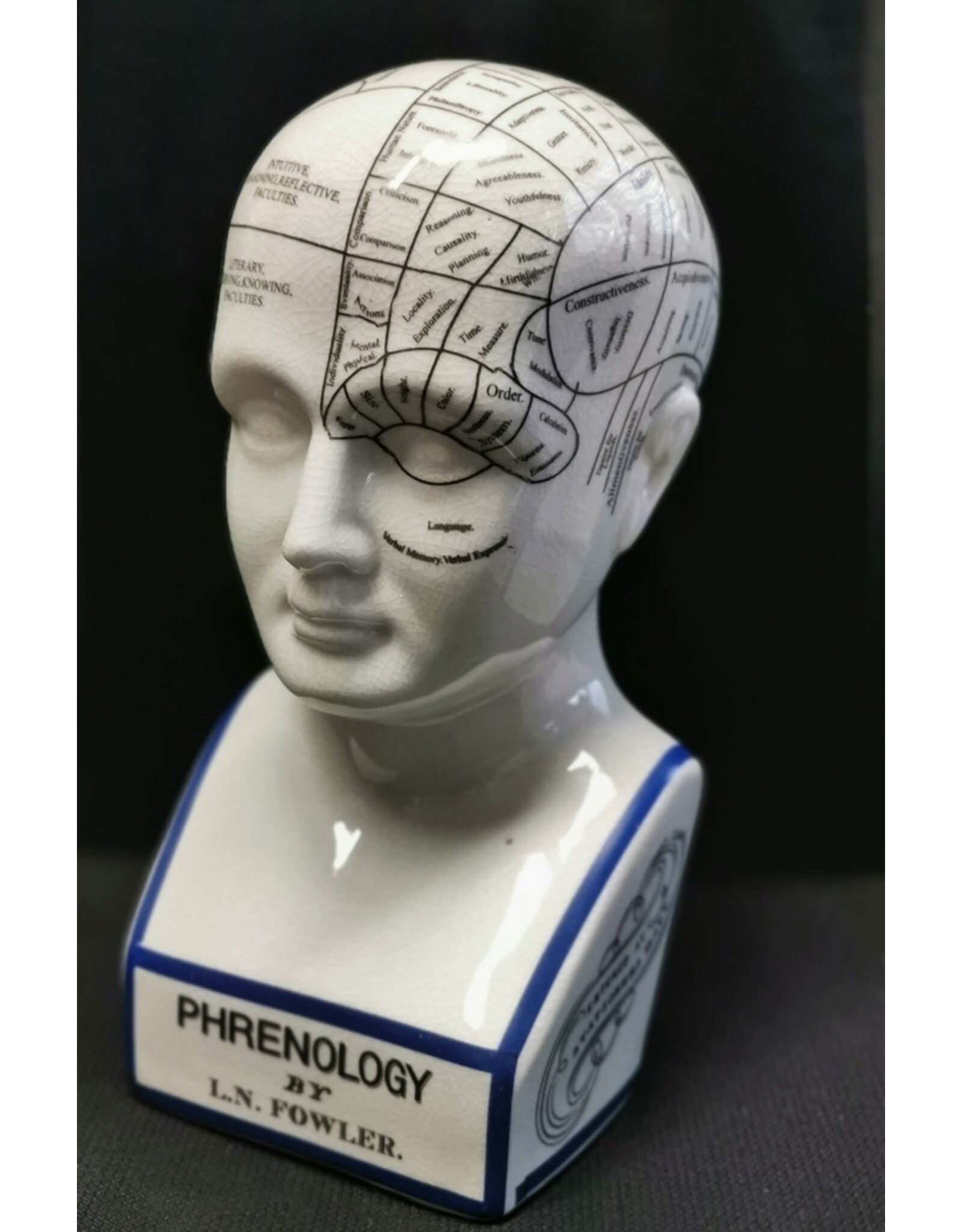 Trukado Miscellaneous - Phrenology  Ceramic Head XLarge (29cm)