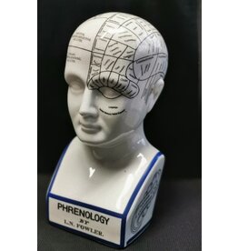 Trukado Phrenology Keramiek Hoofd XLarge (29cm)