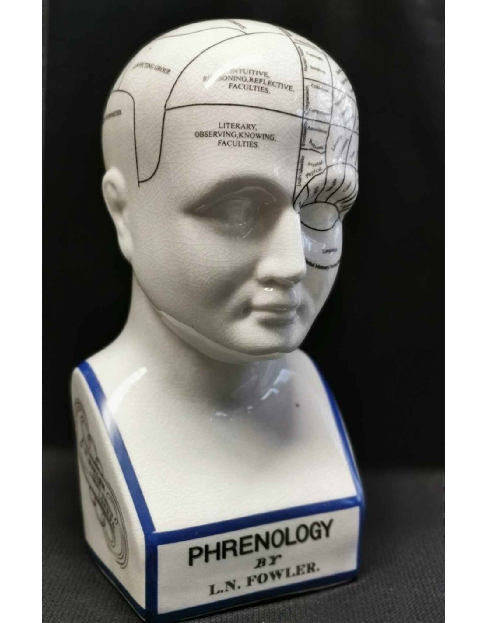 Trukado Miscellaneous - Phrenology  Ceramic Head XLarge (29cm)