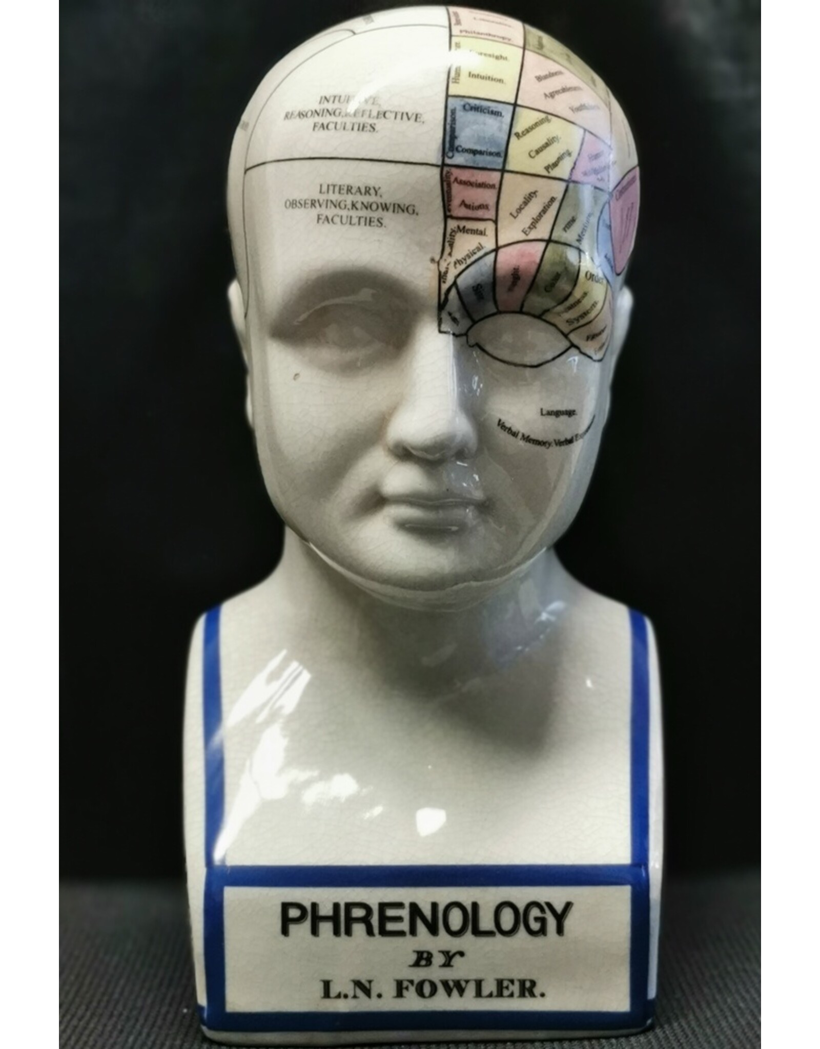 Trukado Miscellaneous - Phrenology  Ceramic Head XLarge (29cm)