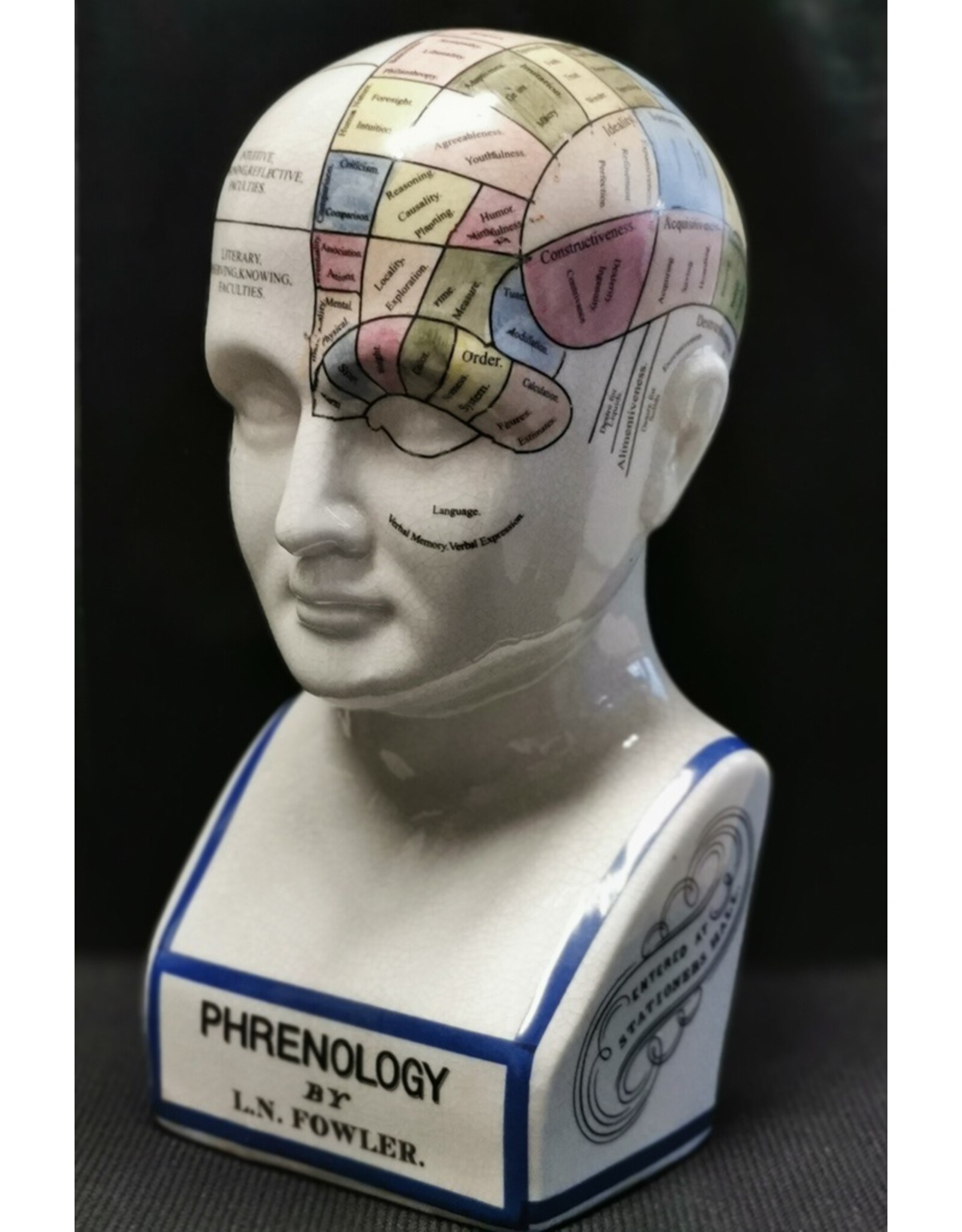 Trukado Miscellaneous - Phrenology  Ceramic Head XLarge (29cm)