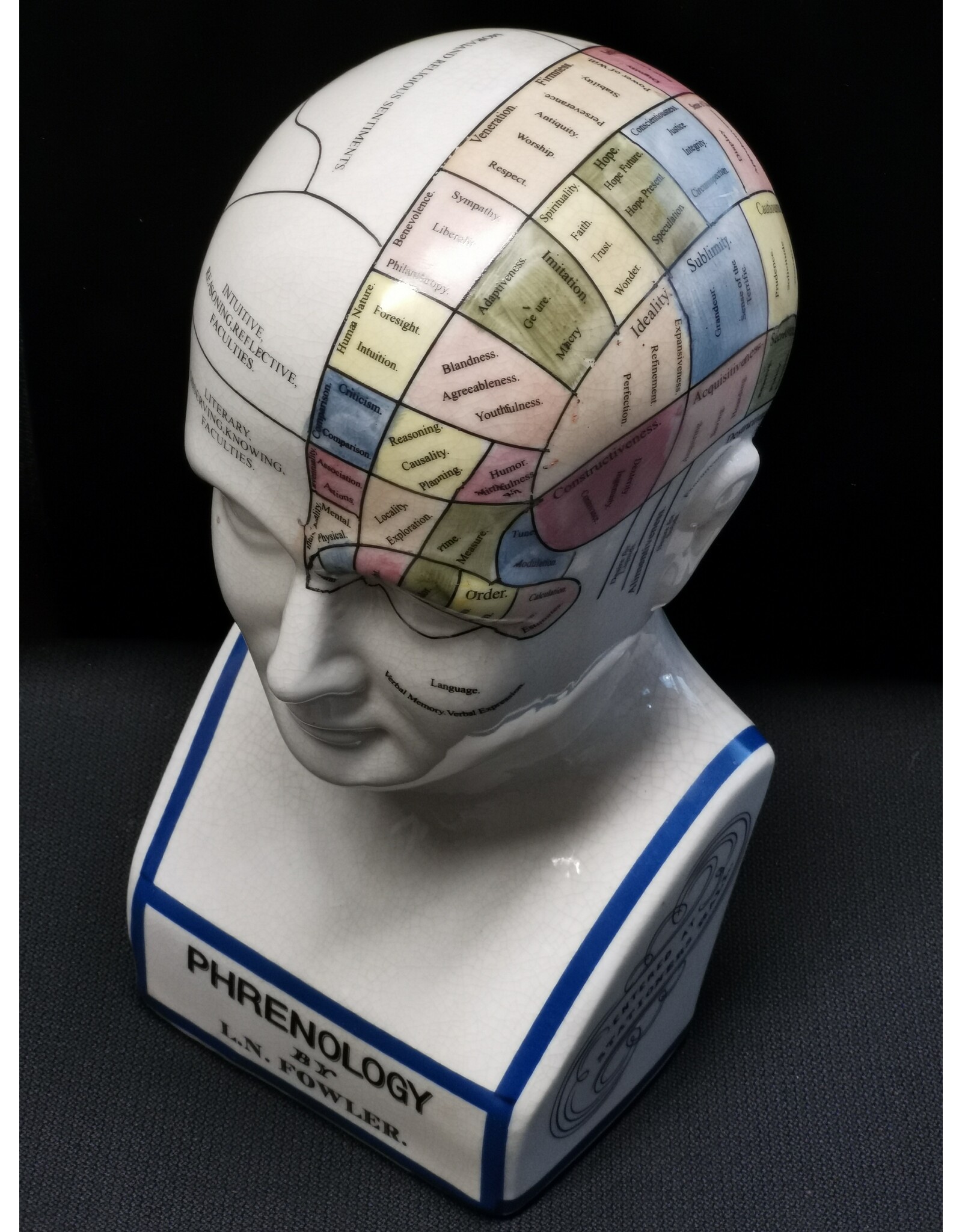 Trukado Miscellaneous - Phrenology  Ceramic Head XLarge (29cm)