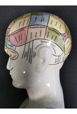 Trukado Miscellaneous - Phrenology  Ceramic Head XLarge (29cm)