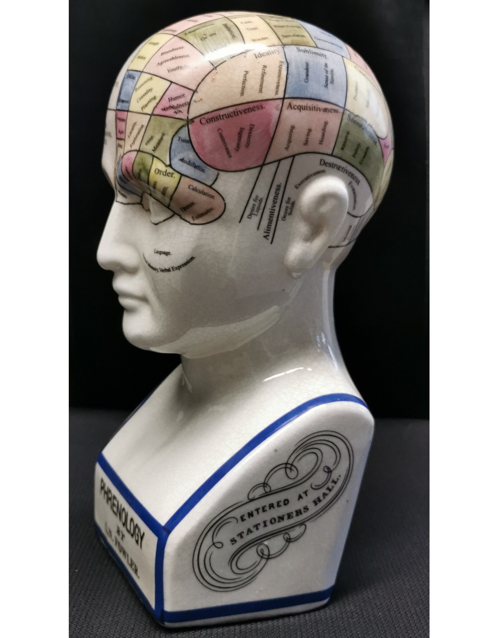 Trukado Miscellaneous - Phrenology  Ceramic Head XLarge (29cm)