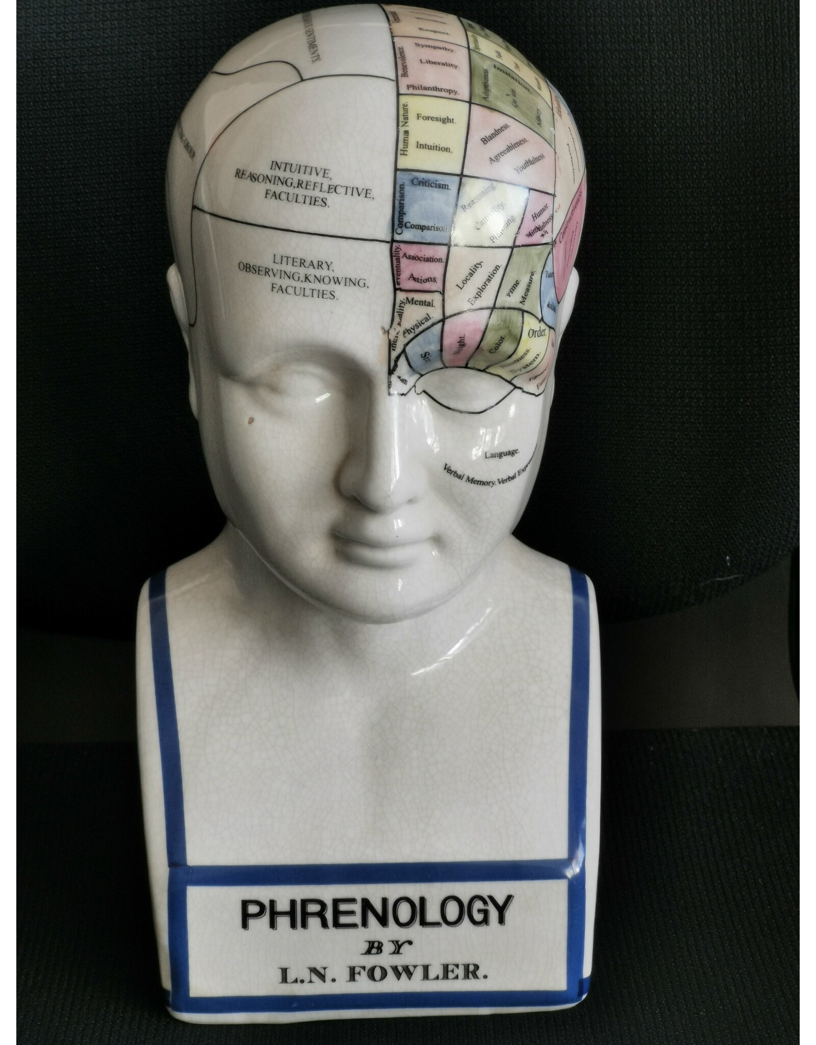 Trukado Miscellaneous - Phrenology  Ceramic Head XLarge (29cm)