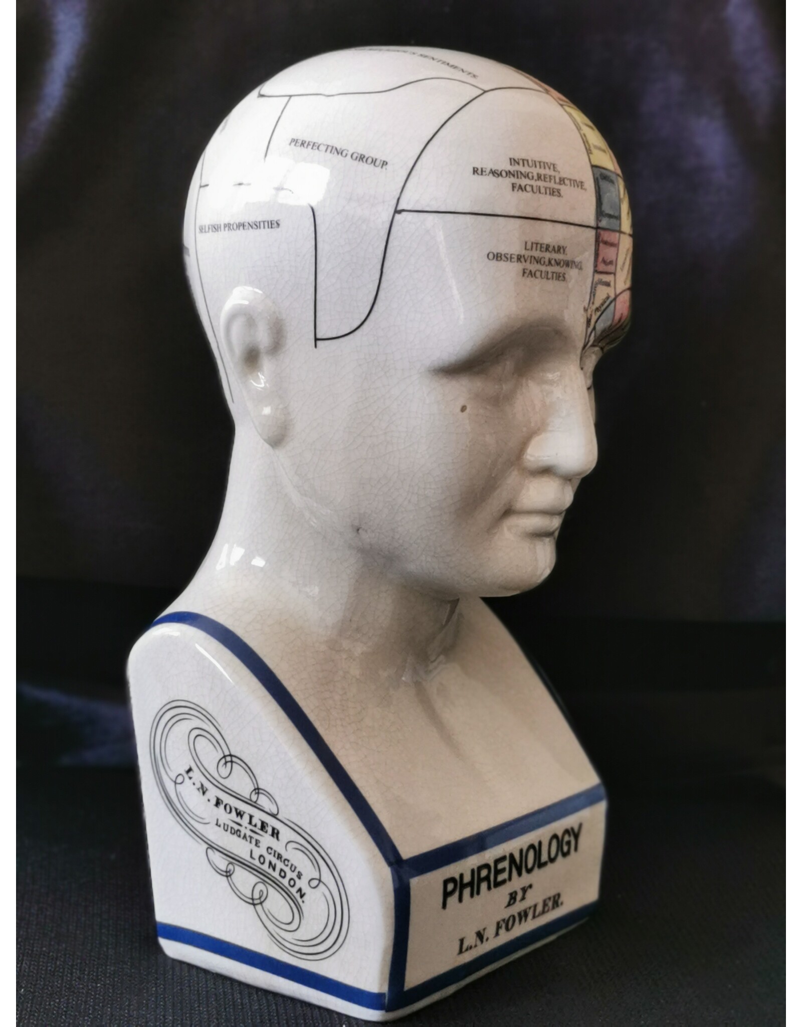 Trukado Miscellaneous - Phrenology  Ceramic Head XLarge (29cm)