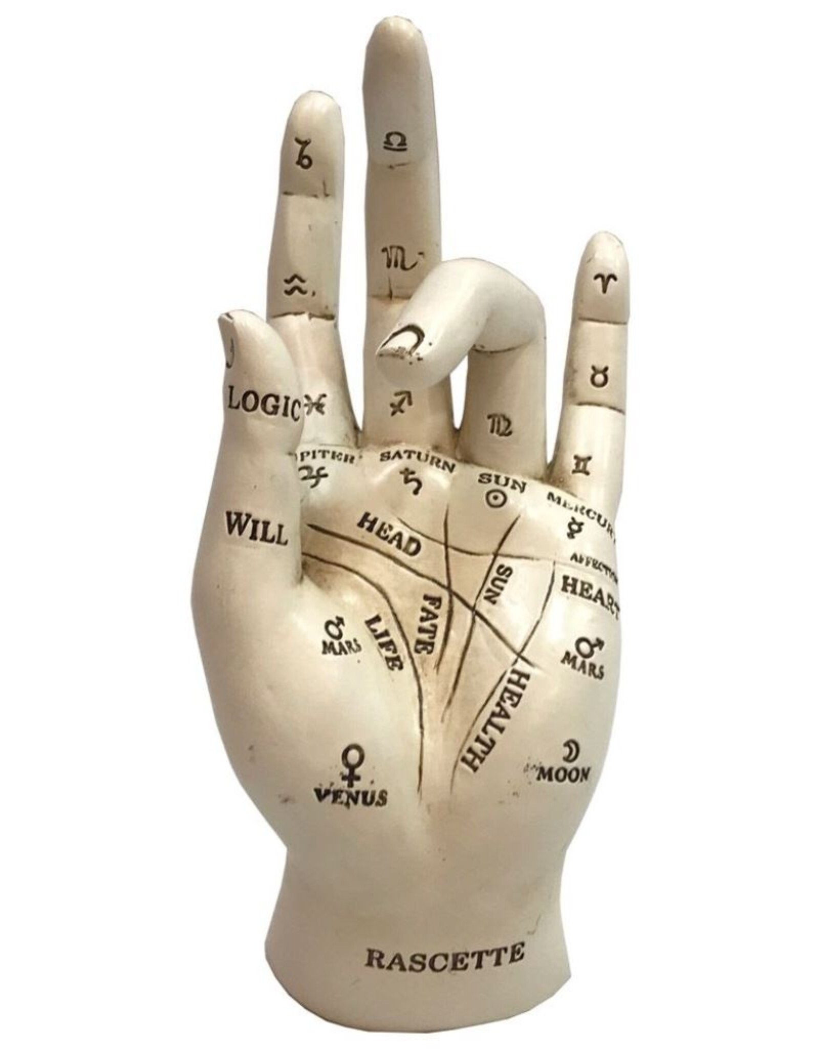 NemesisNow Giftware & Lifestyle - Palmistry Chriomancy Fortune Telling Hand Figurine