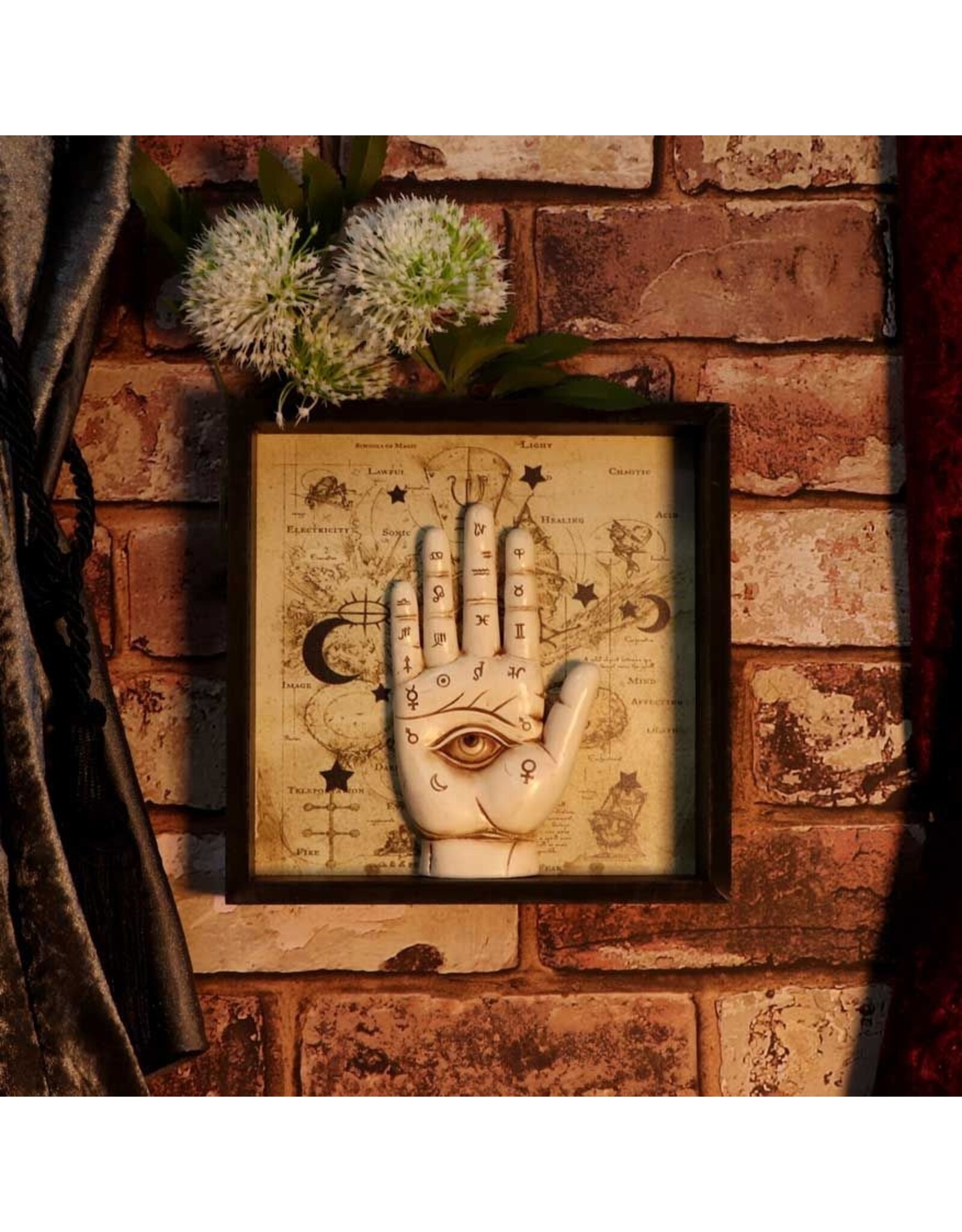 NemesisNow Giftware & Lifestyle - Palmistry Companion Framed Chiromancy Wall Mounted Art