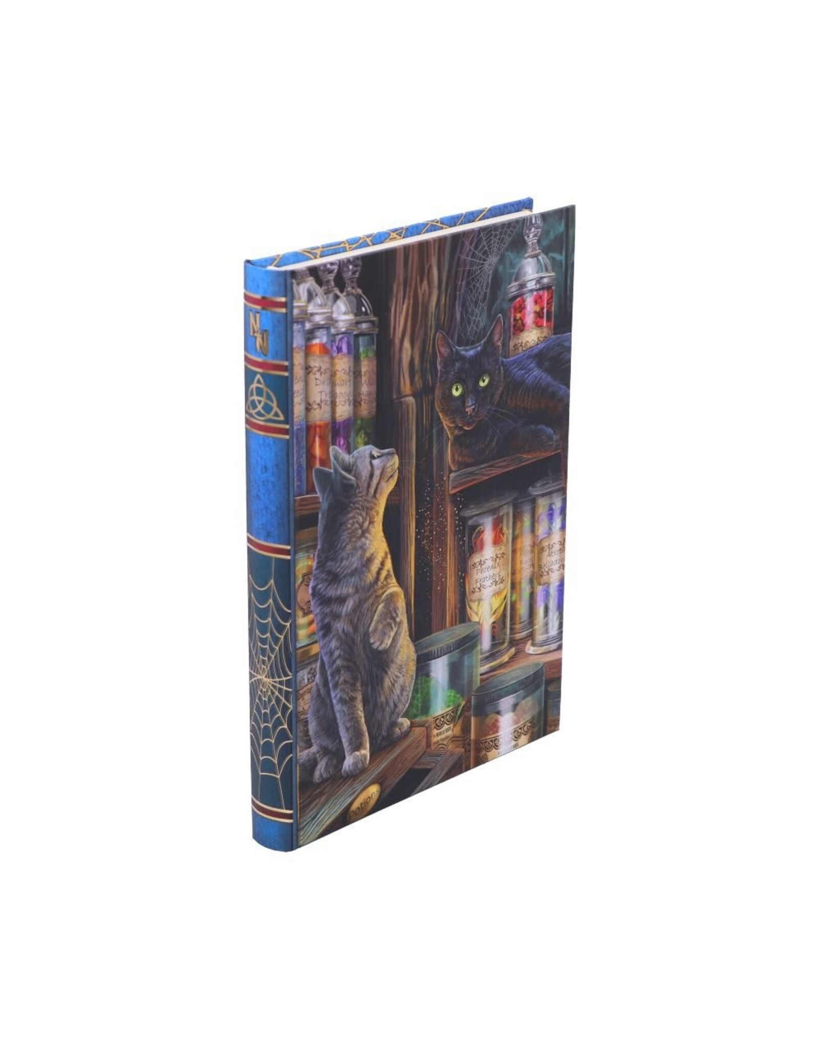 NemesisNow Miscellaneous - Lisa Parker Magical Emporium Dagboek 17 cm