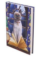 NemesisNow Miscellaneous - Lisa Parker Hocus Pocus Journal 17cm