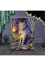 NemesisNow Miscellaneous - Lisa Parker Book of Shadow Journal 17cm