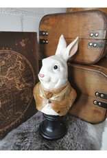 DS Giftware & Lifestyle - Rabbit the Gentlemen Brown Jacket Bust  27cm