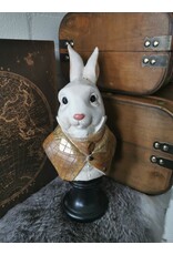 DS Giftware & Lifestyle - Rabbit the Gentlemen Brown Jacket Bust  27cm