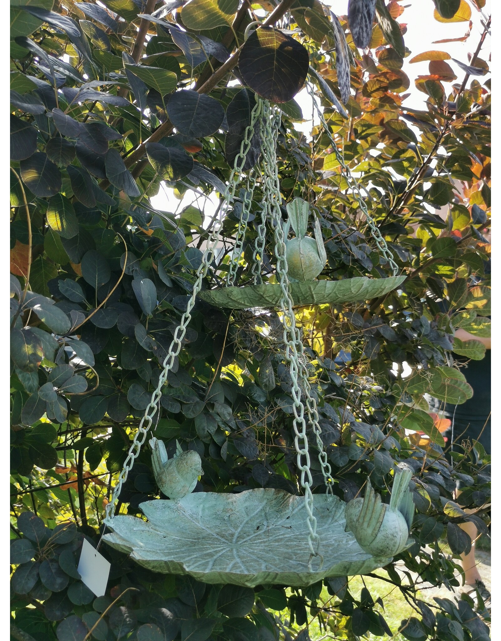 JB Miscellaneous - Birdbath-Feeding Bowl - leaf shaped, set of 2