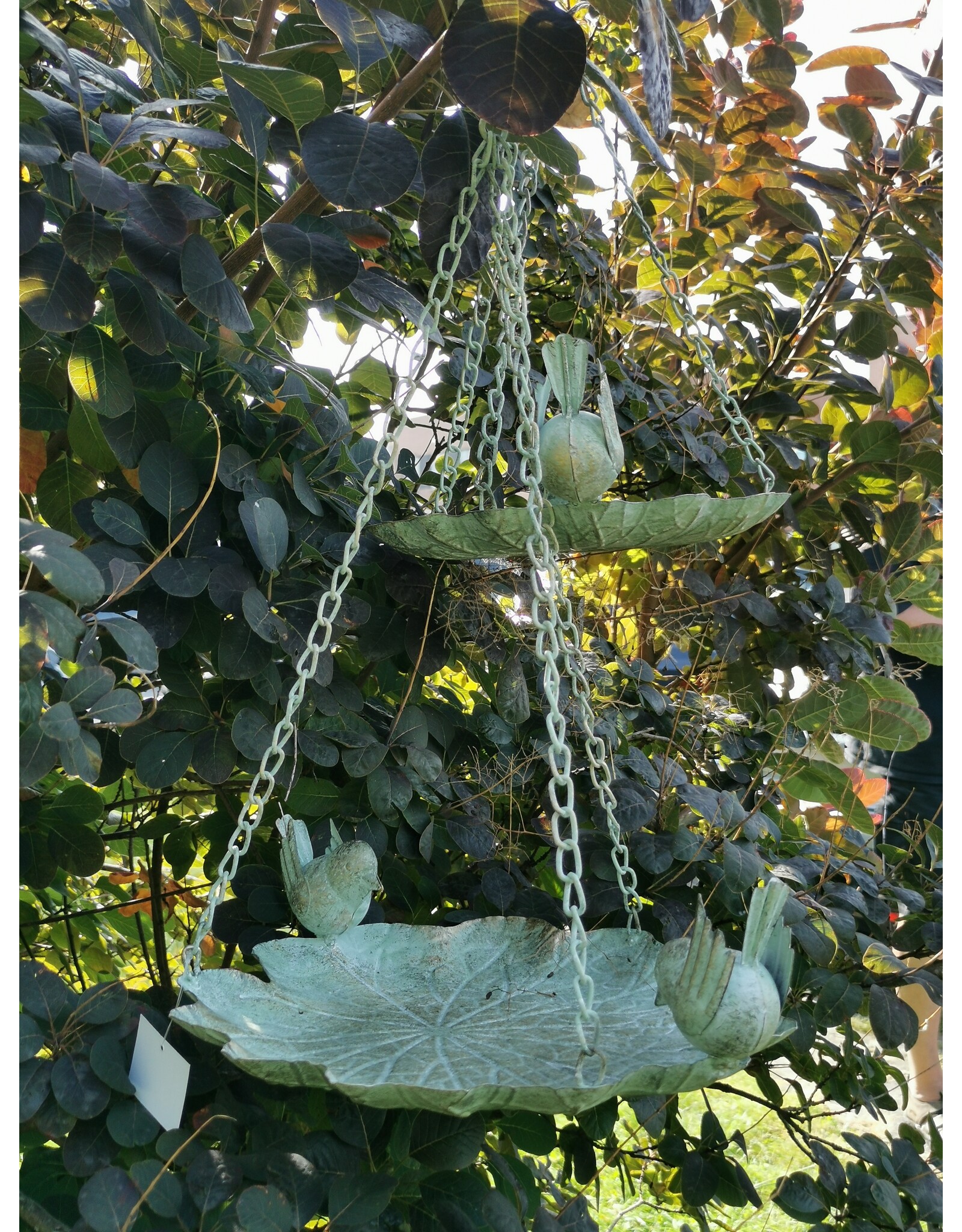 JB Miscellaneous - Birdbath-Feeding Bowl - leaf shaped, set of 2