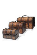 AWG Miscellaneous - Schatkist Wereldkaart Set van 3
