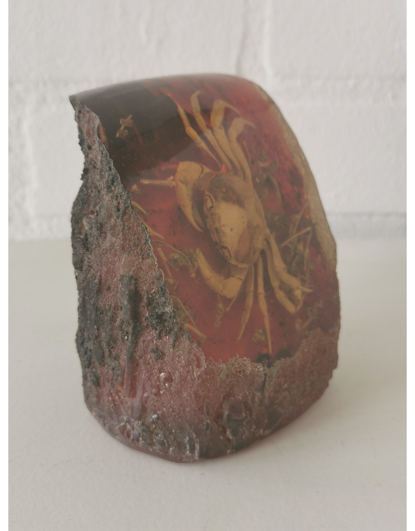 Trukado Miscellaneous - Krab Fossiel Gegoten in Kunsthars