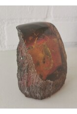 Trukado Miscellaneous - Schorpioen Fossiel Gegoten in Kunsthars