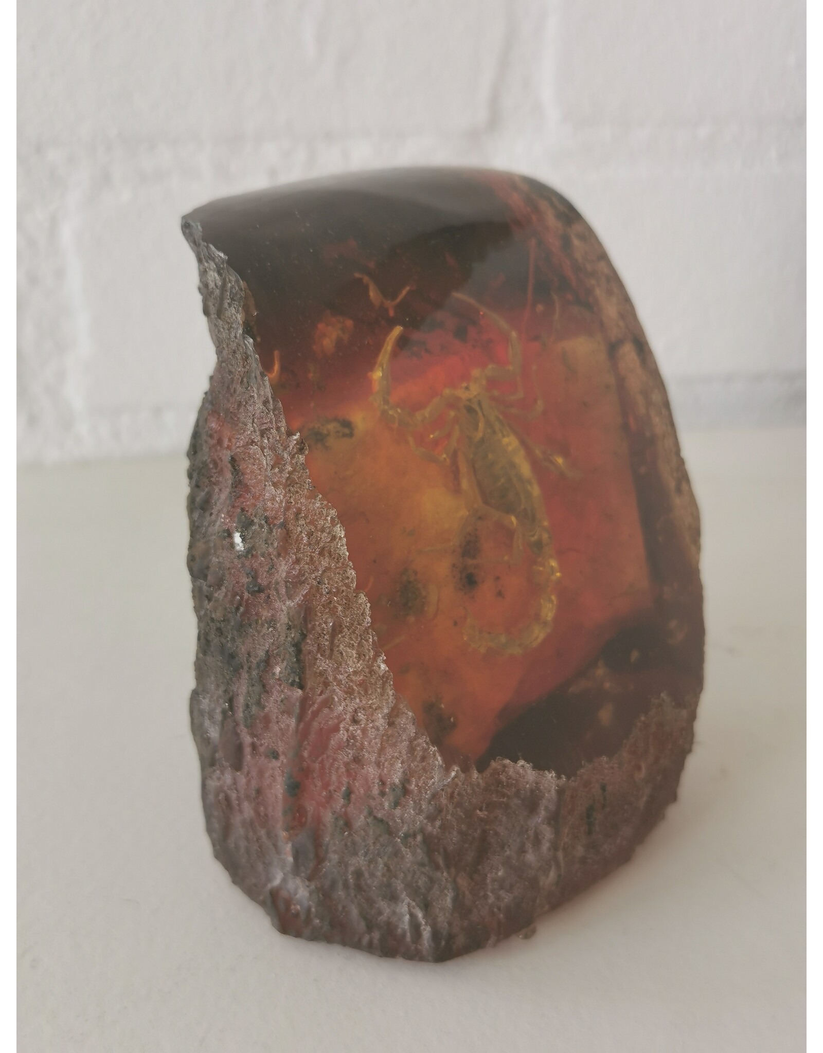 Trukado Miscellaneous -  Scorpion Fossil Cast in Resin