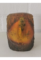 Trukado Miscellaneous -  Cicada Fossil Cast in Resin 9cm