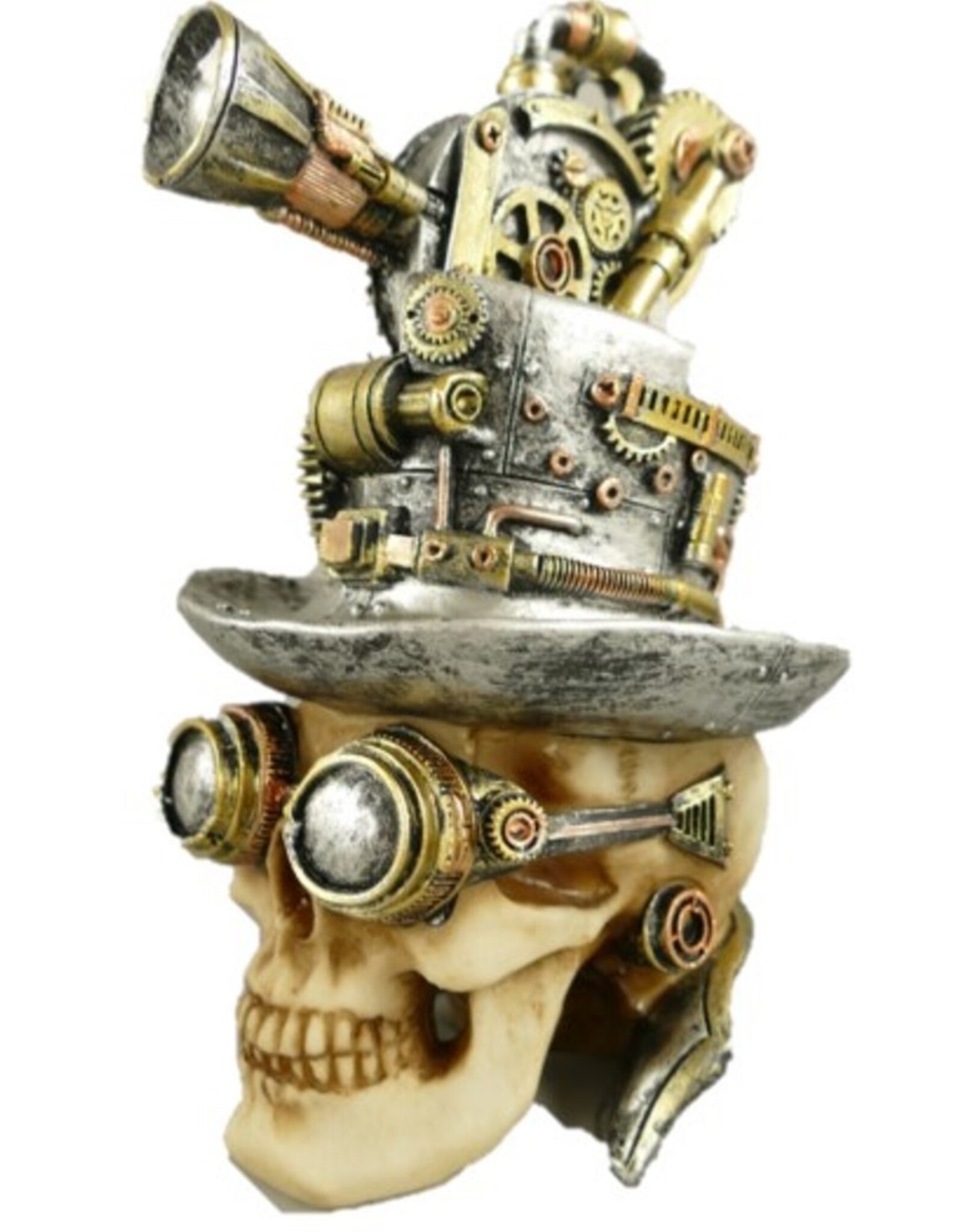 Trukado Skulls - Steampunk skull with camera projector