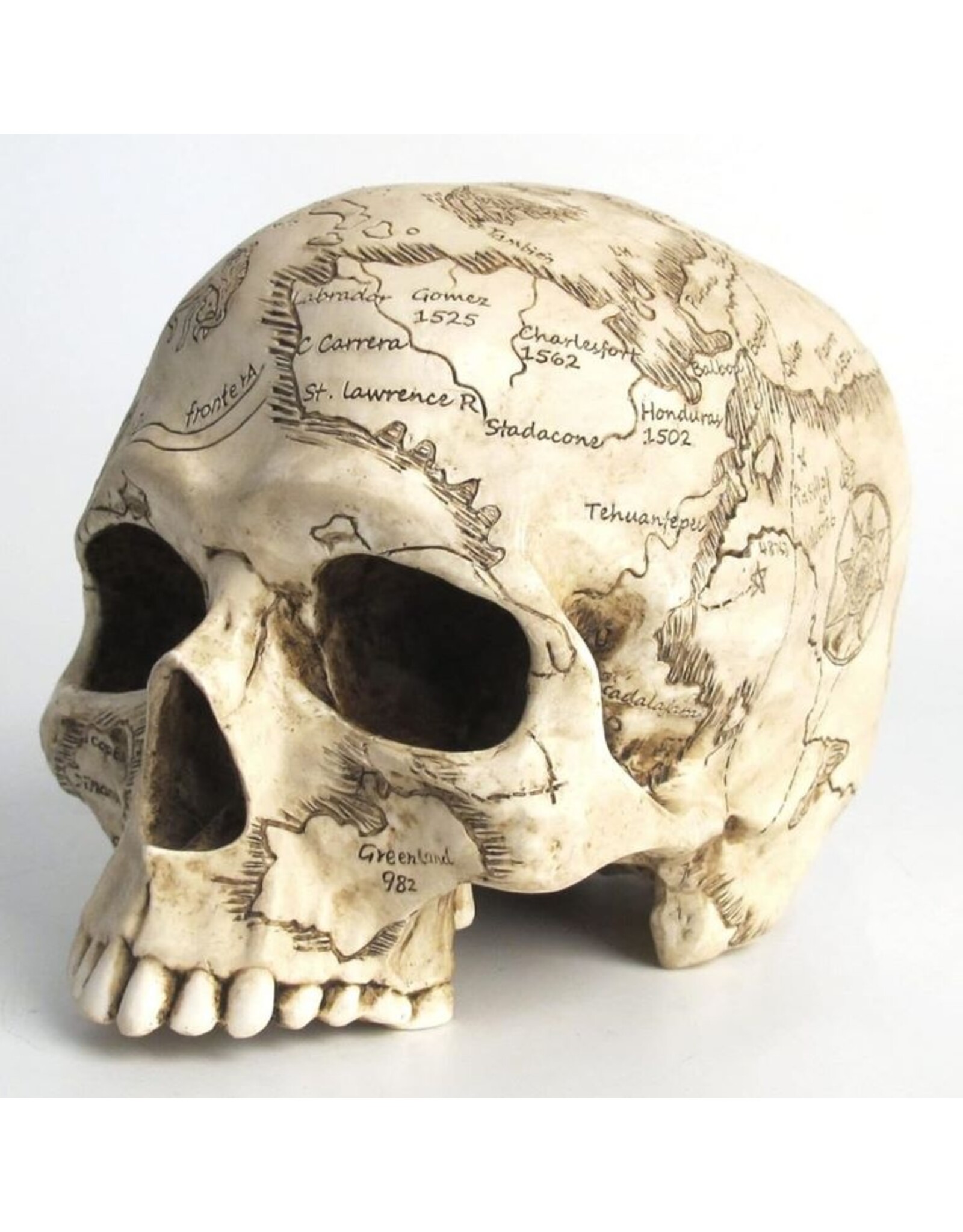 Unicorn Studio Reapers, schedels en draken - Craniumografie Schedel Kaart