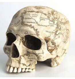 Unicorn Studio Craniumography Skull Map