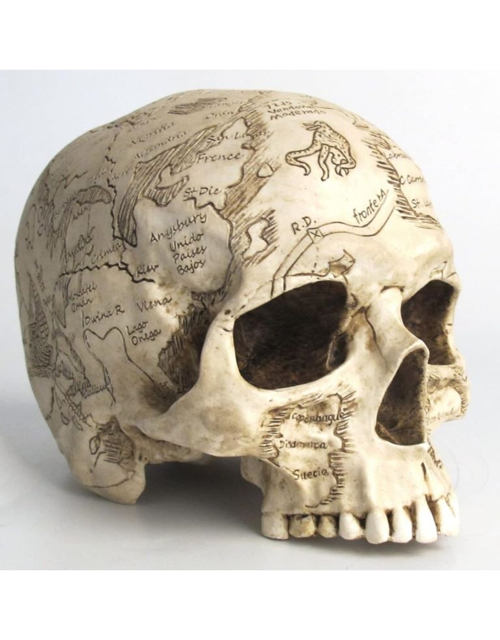 Unicorn Studio Reapers, schedels en draken - Craniumografie Schedel Kaart