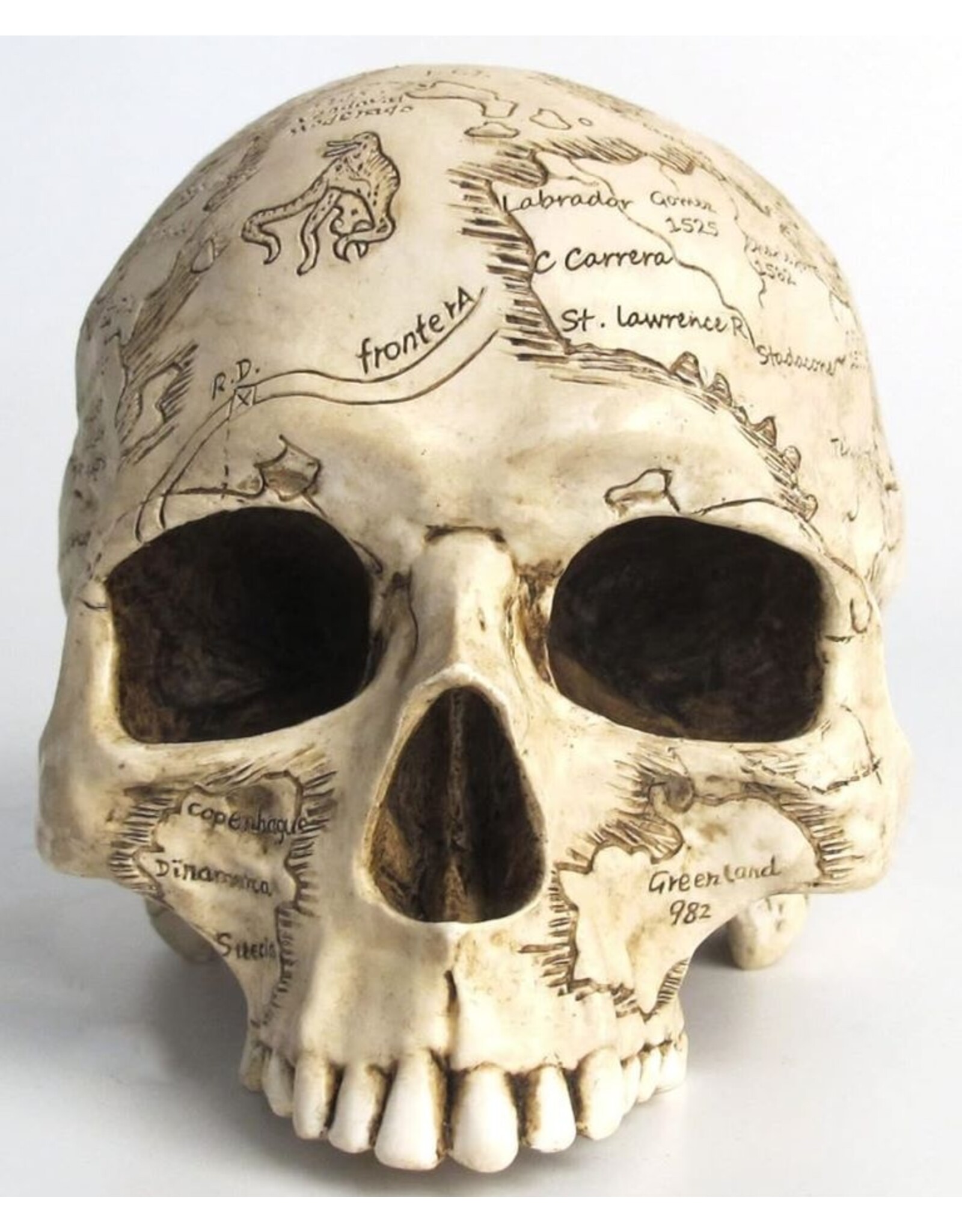 Unicorn Studio Reapers, schedels en draken - Craniumografie Schedel Kaart