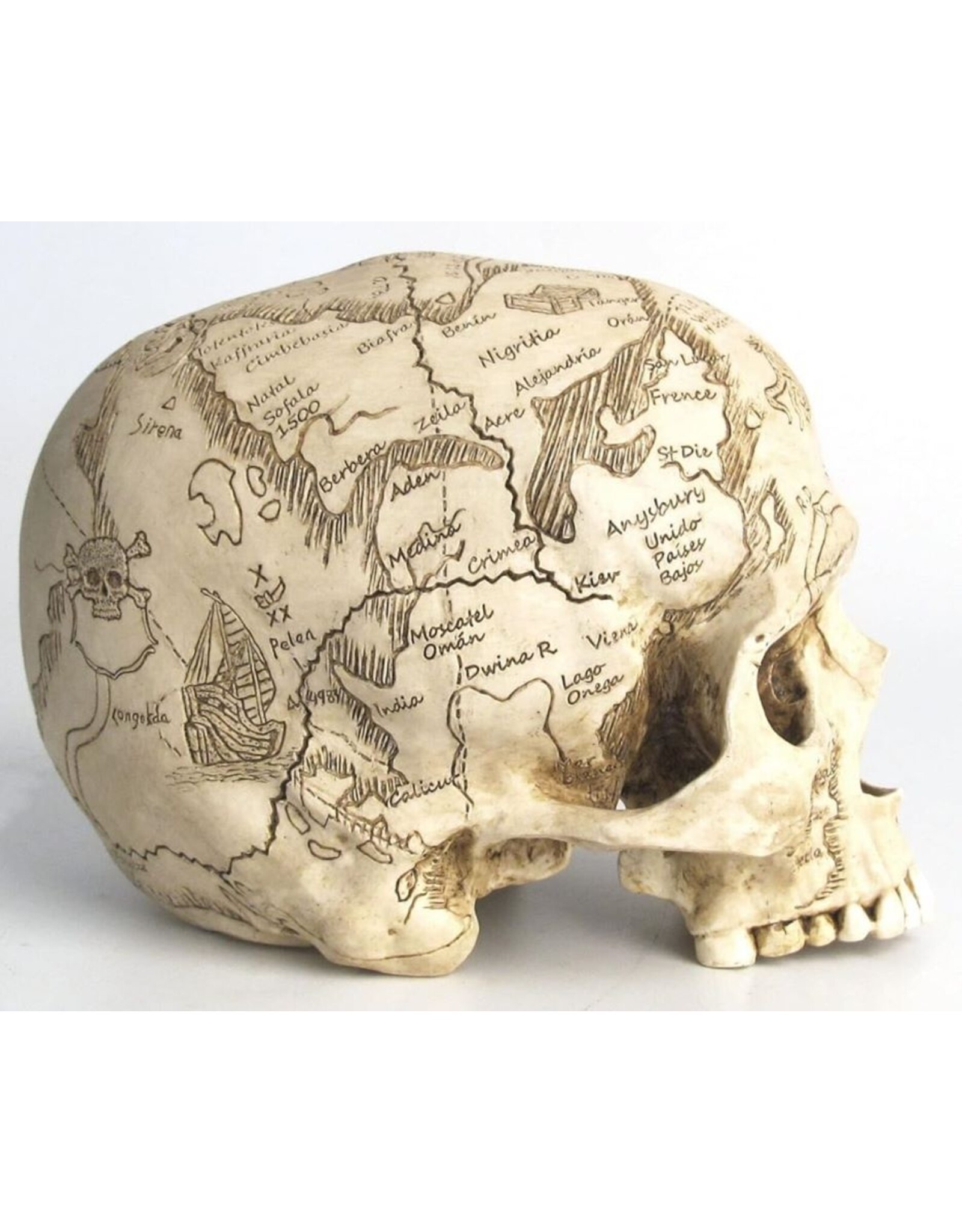 Unicorn Studio Reapers, schedels en draken - Craniumografie Schedel Kaart