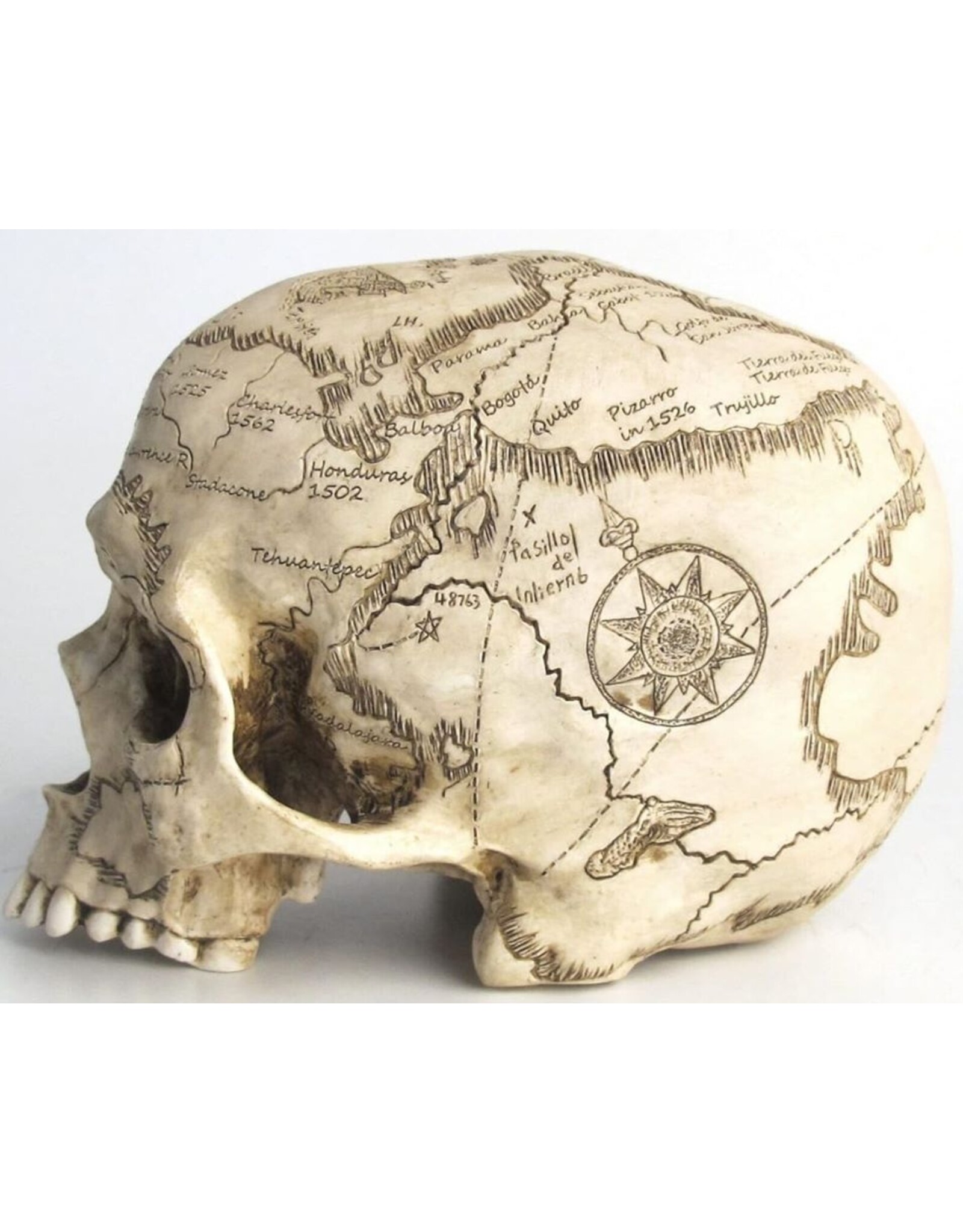 Unicorn Studio Reapers, schedels en draken - Craniumografie Schedel Kaart