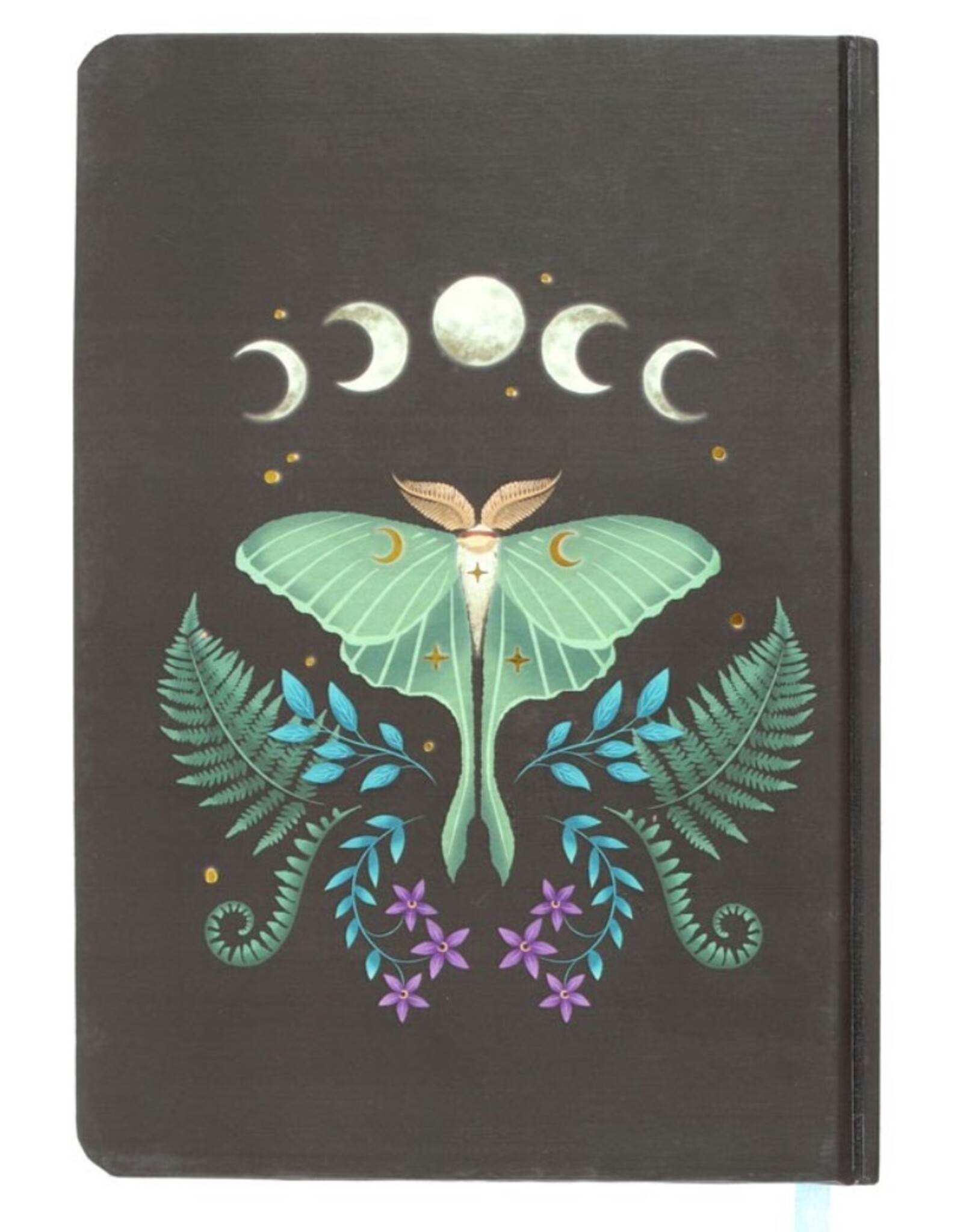 SDW Miscellaneous - Luna Moth A5 Notebook