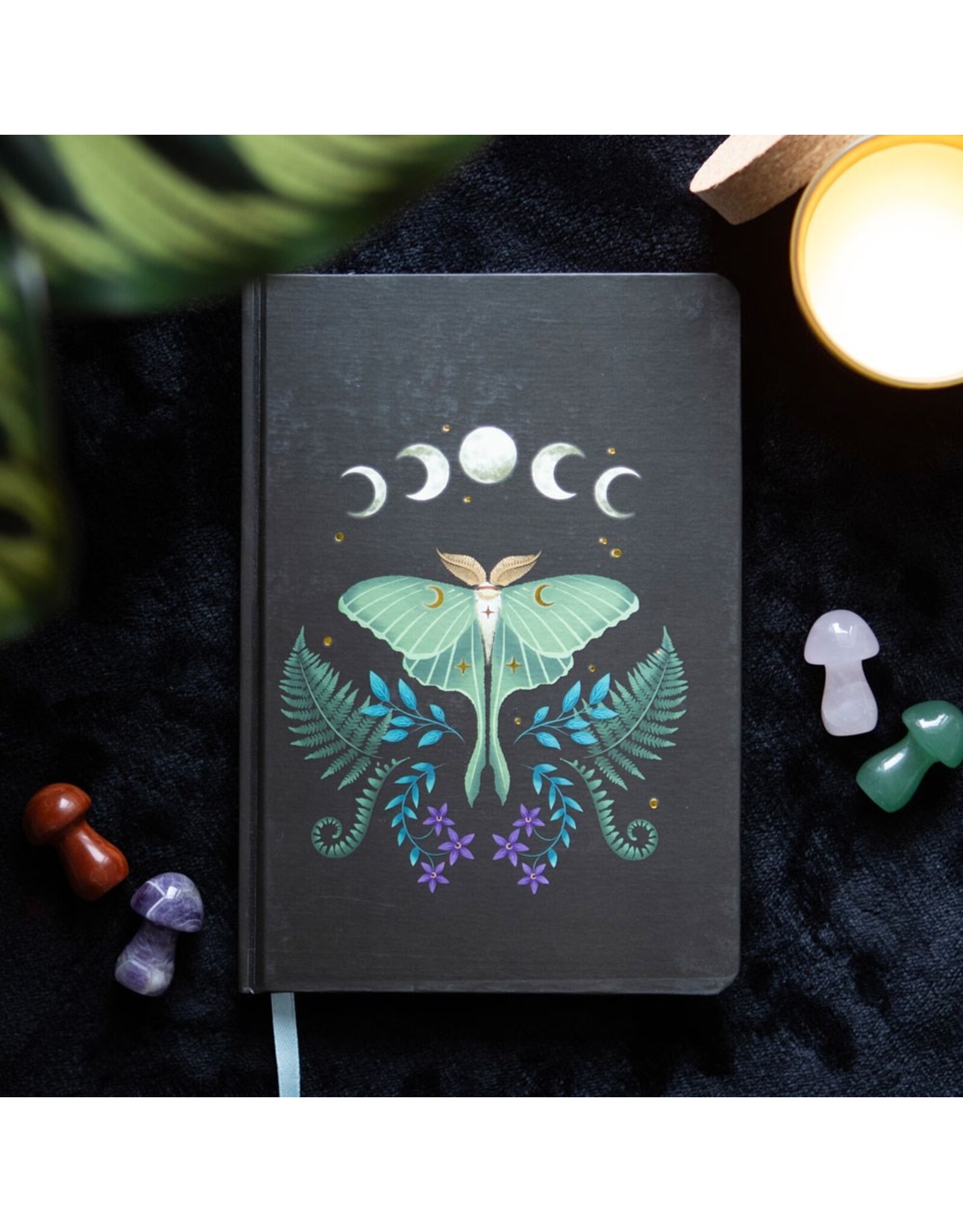 SDW Miscellaneous - Luna Moth A5 Notebook