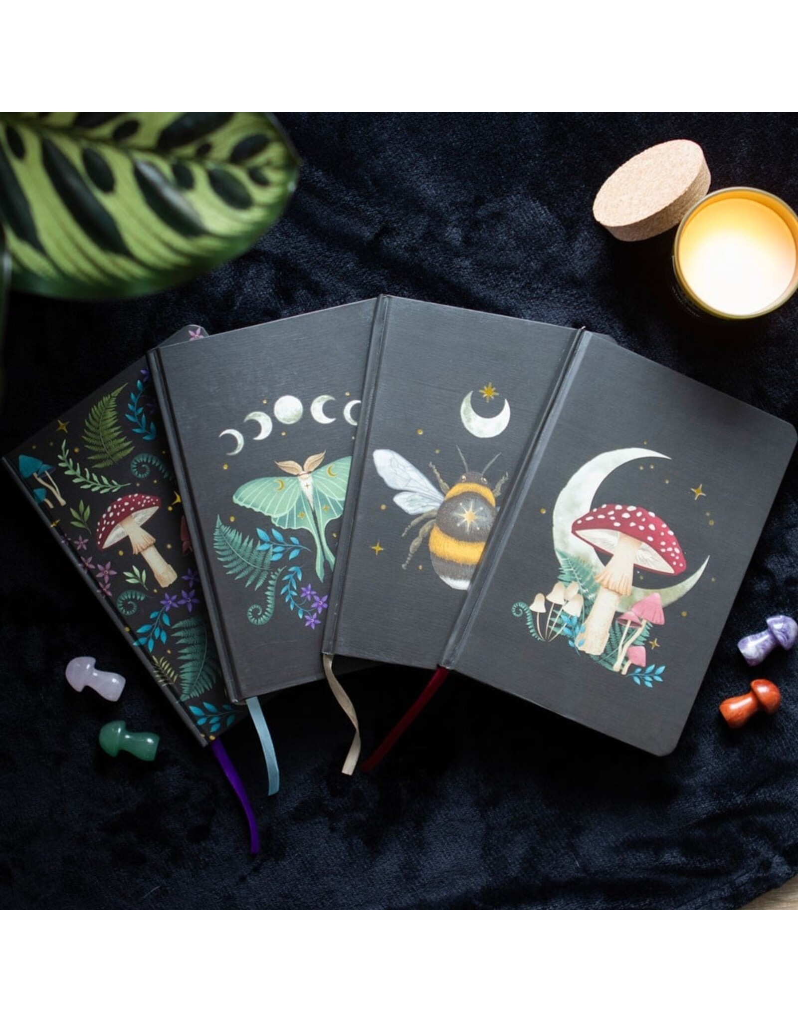 SDW Miscellaneous - Magical Forest Mushroom A5 Notebook