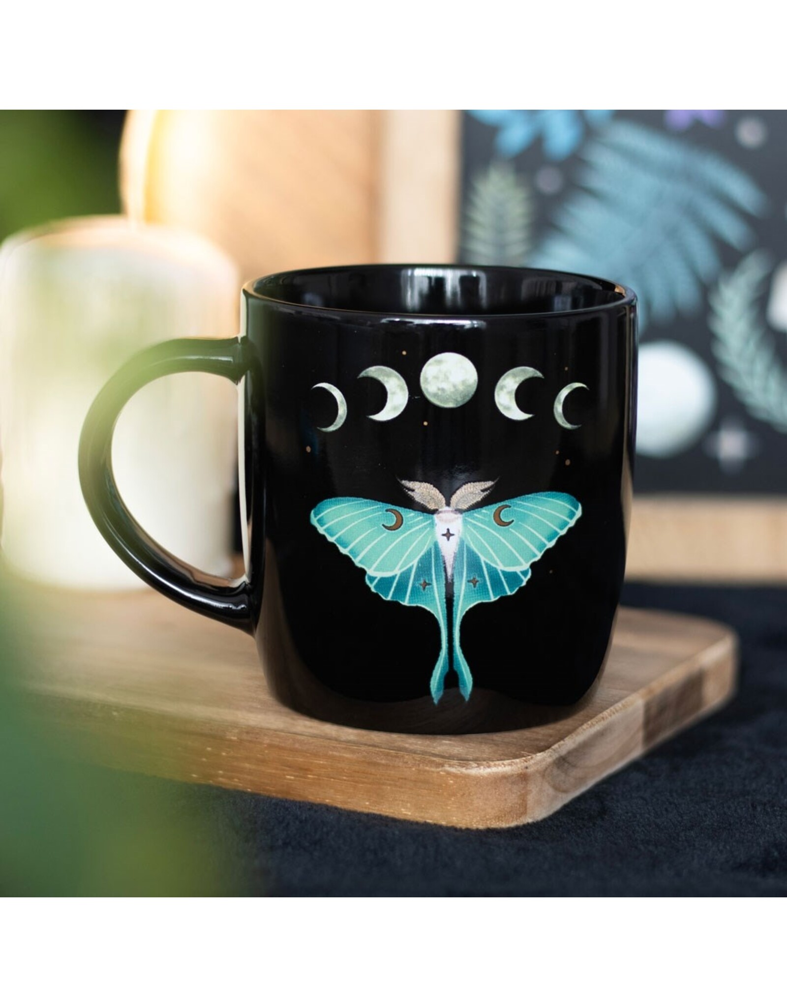 SDW Giftware & Lifestyle - Dark Forest Luna Moth Mug