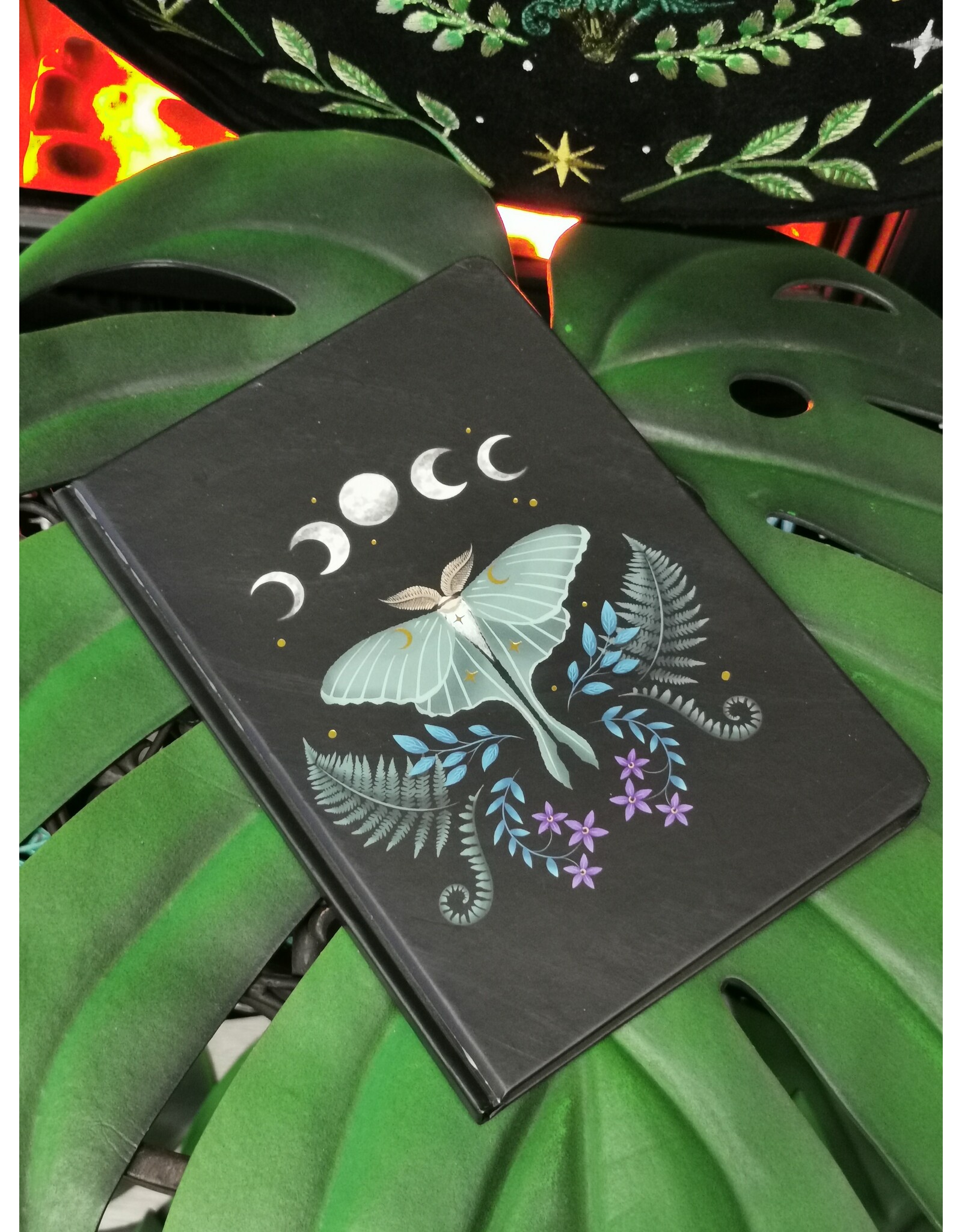 SDW Giftware & Lifestyle - Dark Forest Luna Moth Mug