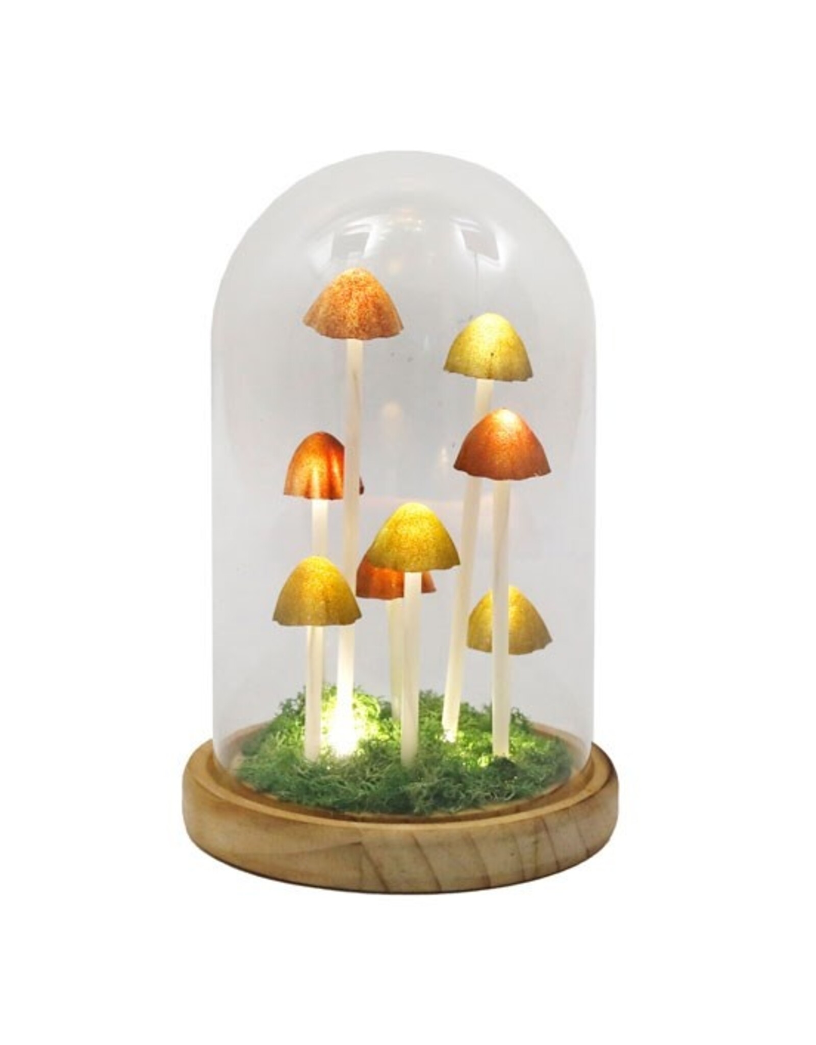 SDW Giftware & Lifestyle - Mushroom LED Glass Dome Display