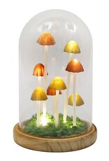 SDW Giftware & Lifestyle - Mushroom LED Glass Dome Display