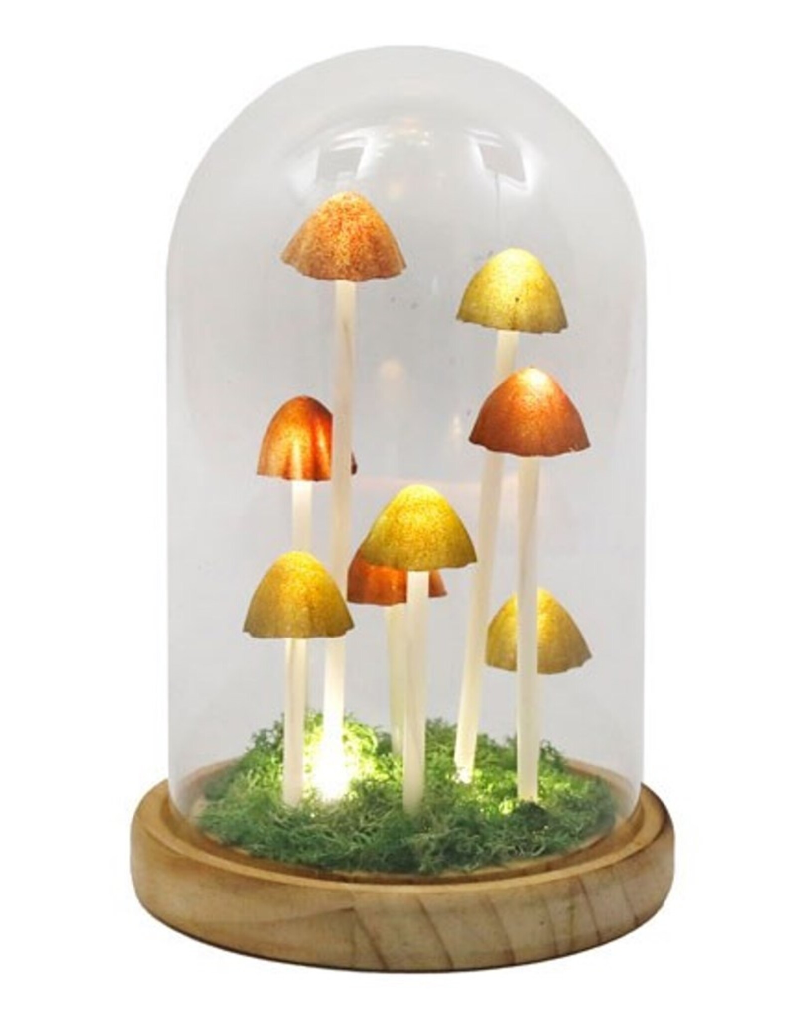 SDW Giftware & Lifestyle - Mushroom LED Glass Dome Display
