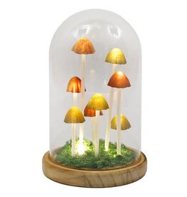 SDW Paddenstoel LED Glazen Stolp Display